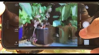 How to Fix iPhone Camera Shaking Easy and Quick