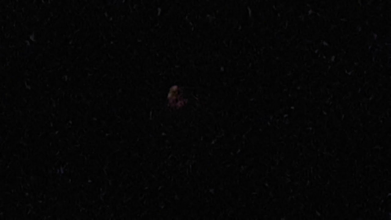 super bloedmaan - Komende Vrijdag 27 juli. Apeldoorn