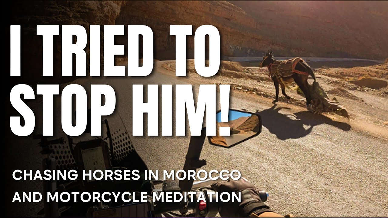 Part 4. I Returned to the Mountain Road That Almost Broke Me… What I Found Shocked Me!