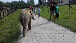 Chitawan National Park Elephant Breeding Center