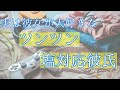 【女性向けボイス】ツンツン塩対応彼氏は彼女が大好き【喧嘩,ASMR,シチュエーションボイス,バイノーラル】