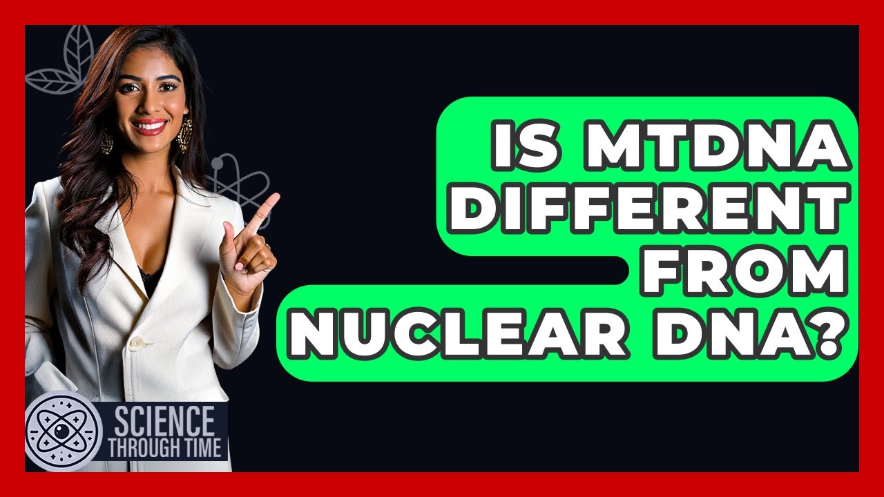 Is MtDNA Different From Nuclear DNA? - Science Through Time