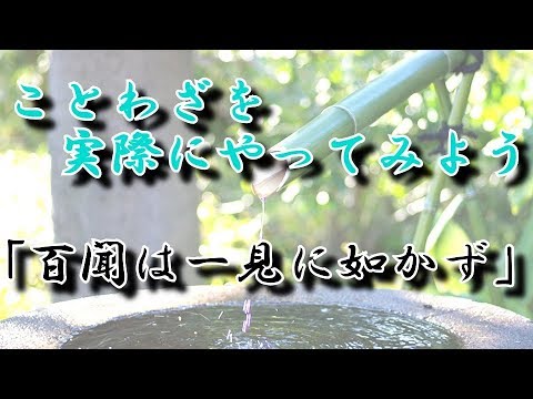 ことわざを実際にやってみました！ 「百聞は一見に如かず」