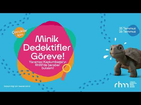 Minik Dedektifler Göreve: Yaramaz Kaplumbağanın İzinde! 🐢🔍