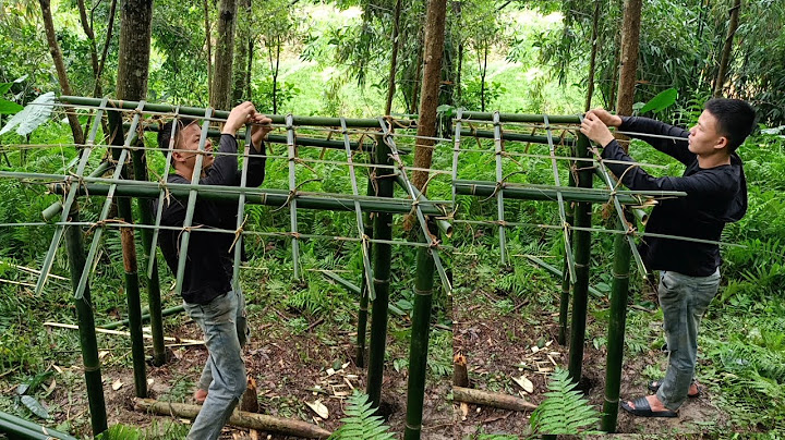 Build a bamboo house for shelter and survival in the forest How To Make Bamboo House In Forest