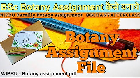 MJPRU - 1st semester Botany Practical / Assignment file pdf
