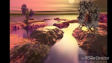 الليلة الثامنة (سورة الانفال-التوبة) من صلاة التراويح للقارئ داود محداب مسجد عقبة ابن نافع حي الشاطئ