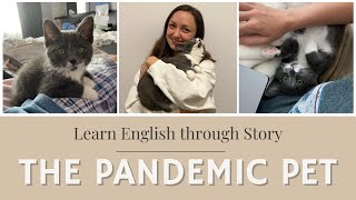 The Pandemic Pet - Learn English through Story - Vocabulary, idioms, & verb tenses in natural speech