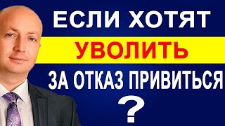 Что делать если хотят уволить или отстранить от работы за отказ вакцинироваться. Мнение адвоката