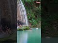 Peaceful Forest Stream Sounds 🌿😴 #Shorts #SleepSounds #NatureAmbience