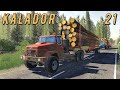 FS 19 - Пилю лес. Вывожу лес с делянки - KALADOR фермер лесоруб # 21