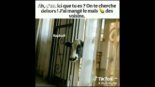#photography#memes#flyp #comedy#baby