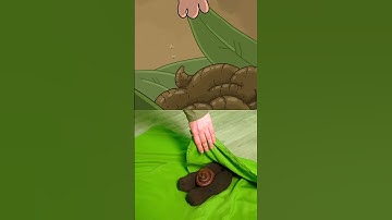 king kong and poop