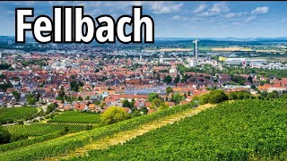 Fellbach | Travel | Stuttgart | Germany | Stadt Fellbach