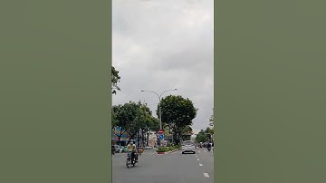 Hàng cây xanh mát trên Đại lộ Hòa Bình #tree