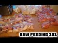 Raw Diet For Dogs 101 - Introducing Raw Meat To Your Puppy