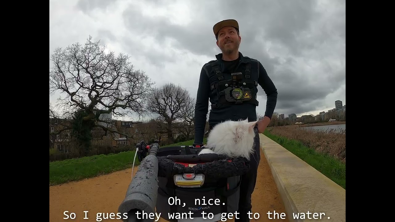 I hope I did the right thing here, this wall seems very poorly thought out! 🐸🐱