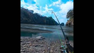 Landing a 962lbs Goblin shark in vr! #syk0duk #gaming #vr #japan #sharkweek #fishing #realvrfishing