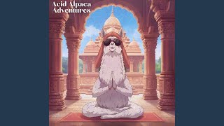 That Time I Smoked the Universe - Acid Alpaca Adventures
