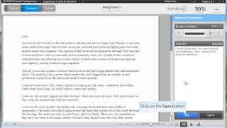 TurnItIn - General comment