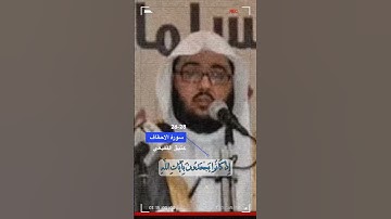 سورة الاحقاف الاية 26-28