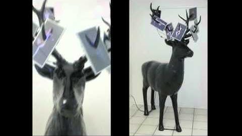 derhirsch_2009_marck_.flv