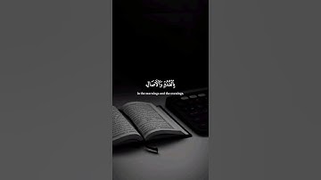 اكتب شيء تؤجر عليه ❤️🎧 #القارئ ياسر الدوسري