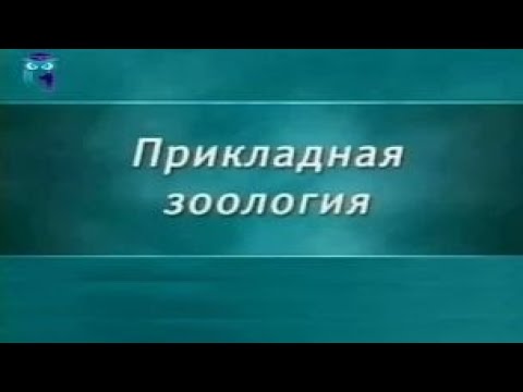 Зоология. Урок 1.4. Круглые черви - паразиты растений и животных