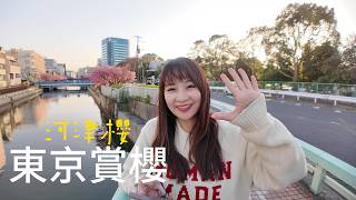 看完WBC東京賞櫻的兩天｜機器人酒店很詭異