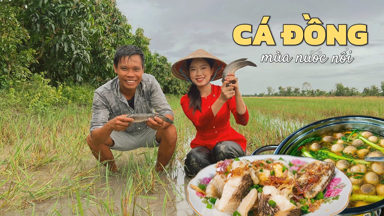 🌾Xế chiều cháo cá miền Tây, gạo rang, rau đắng, cá đồng mình câu. Cháo cá lóc đồng rau đắng miền Tây