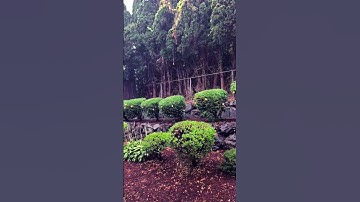 Thumbnail of "A Rainy day" Duvall Washington #ytshorts #shorts#viral#travel#michianddadivlog #likeandsubscribe