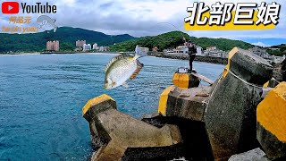 磯釣38cm星點🐟來體驗暴力娘娘的摧殘😎不要太大隻 因為會起不來😅#生牌南極蝦 #志成企業魔力g #漁師常溫練餌 #superiso釣具潮流品牌 #魂手作浮標工坊  #大叔牌手作黃練餌 