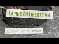 Lapins en liberte 4  changement de stratgie dlevage