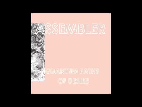 Assembler - Neo-Shanghai Mainframe