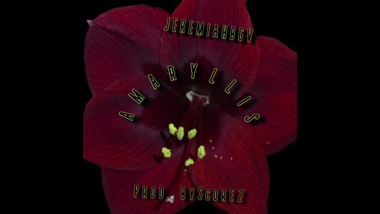 在 YouTube 上觀看「Jeremiahbgv - Amaryllis」 在 YouTube 上觀看「Jeremiahbgv - Amaryllis」