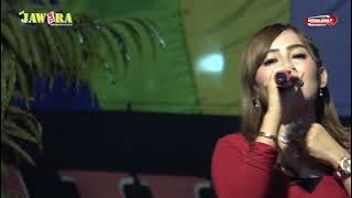 MENGEJAR BADAI - WULAN ANDITA - OM. NEW JAWARA MUSIK LIVE IN DANYANG PURWODADI GROBOGAN