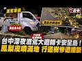 台中深夜酒駕大迴轉卡安全島！鳳梨皮噴滿地 行道樹慘遭撞斷｜三立新聞網