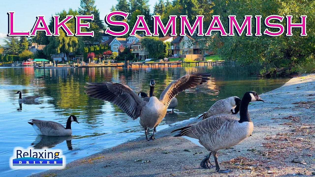Lake Sammamish Redmond, WA Relaxing Drives YouTube