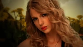 1 lyric that describes each Taylor Swift album