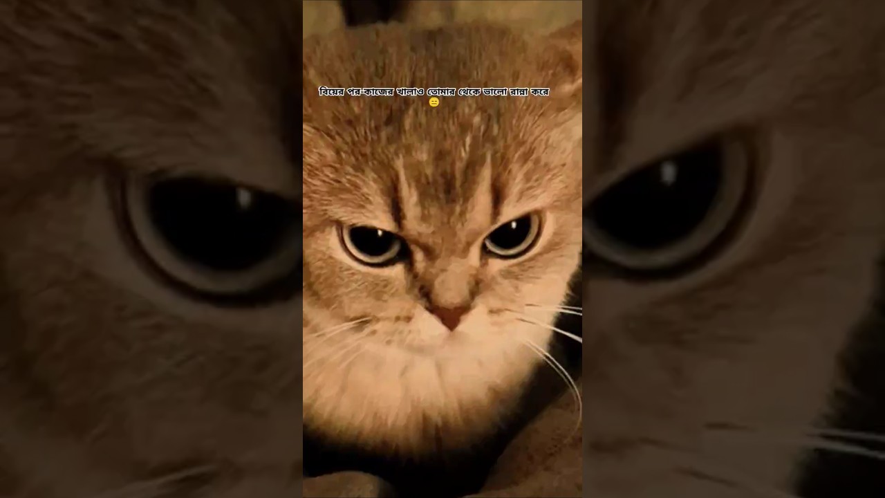 Funny video #shorts #funny #viralvideo