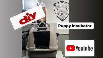 DIY PUPPY INCUBATOR