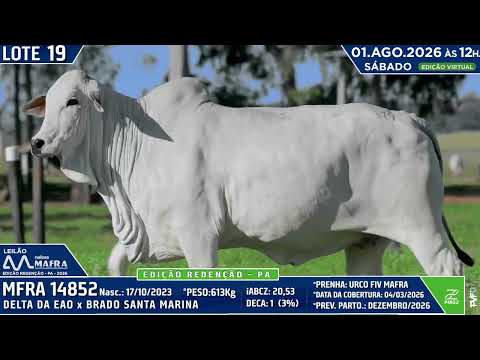 LOTE 19   MFRA 14852