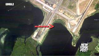 Turtle Invasion - New York Post