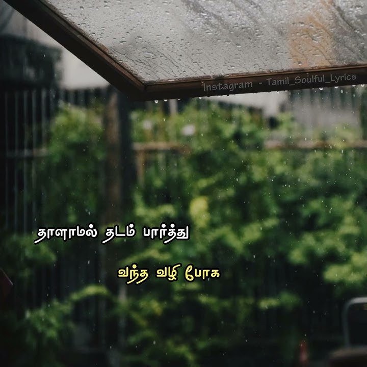 Pachamala Poovu - Kizhakku Vasal (1990)