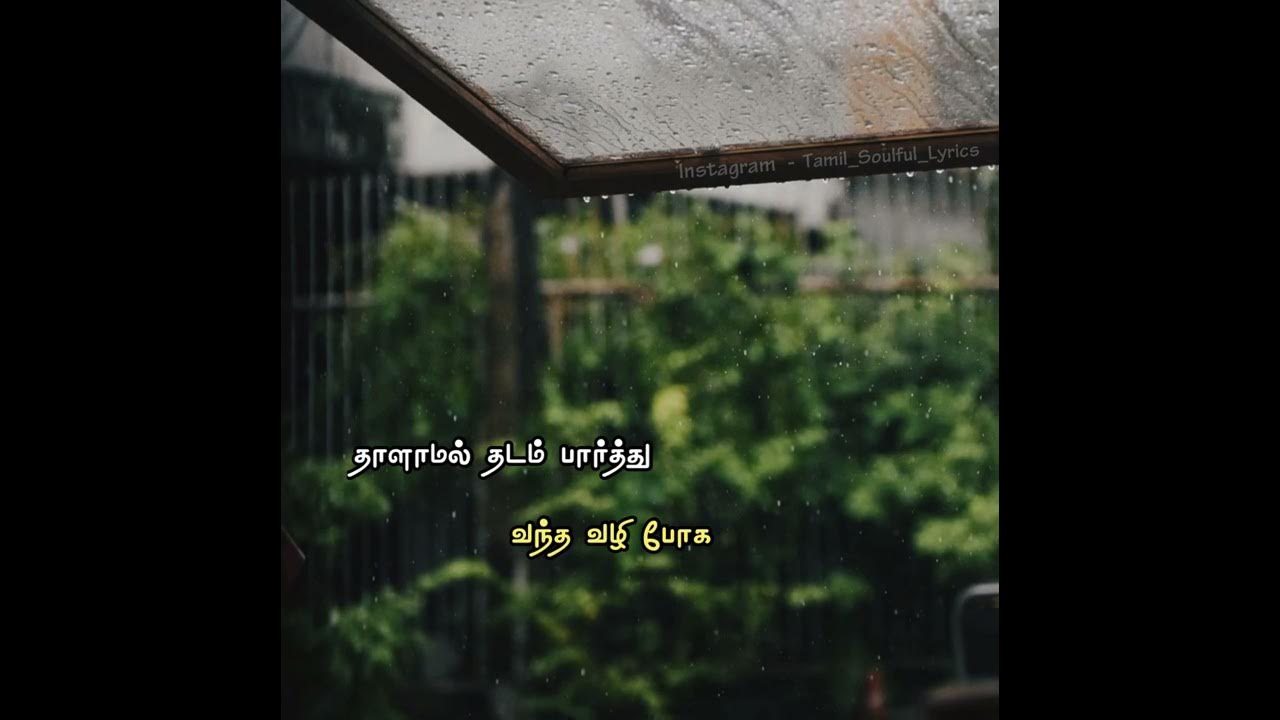 Pachamala Poovu - Kizhakku Vasal (1990)