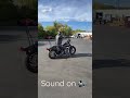 2 of the loudest Harleys in the world | MAX VOLUME #shorts #bike #harleydavidson