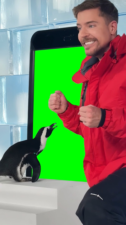 MrBeast Makes Penguin Subscribe meme - Green Screen