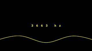 3663 hz