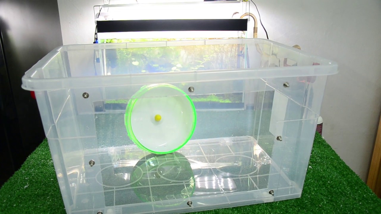 Diy Tesco 75l 整理箱仓鼠笼 Youtube