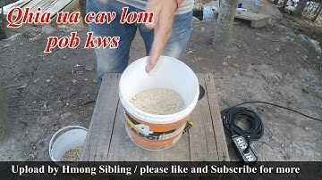 Qhia​ ua​ cav​ zom pob​ kws​ pub qaib​ ( official by hmong sibling)